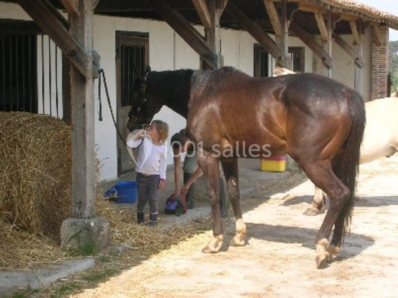 Location salle Saint-Martin-de-Coux (Charente-Maritime) - La Borderie #16