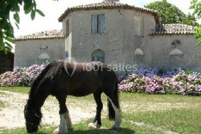 Miniature Location salle Saint-Martin-de-Coux (Charente-Maritime) - La Borderie #17 Location salle Saint-Martin-de-Coux (Charente-Maritime) - La Borderie #17