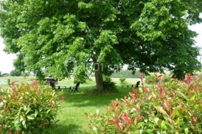 Miniature Location salle Saint-Martin-de-Coux (Charente-Maritime) - La Borderie #5 Location salle Saint-Martin-de-Coux (Charente-Maritime) - La Borderie #17