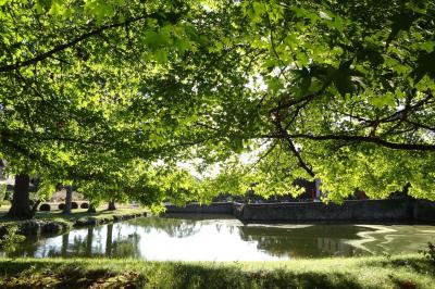 Miniature Location salle Campet-et-Lamolère (Landes) - Château de Campet #26 Location salle Campet-et-Lamolère (Landes) - Château de Campet #36