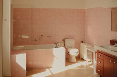 Miniature Location salle Campet-et-Lamolère (Landes) - Château de Campet #32 Location salle Campet-et-Lamolère (Landes) - Château de Campet #36