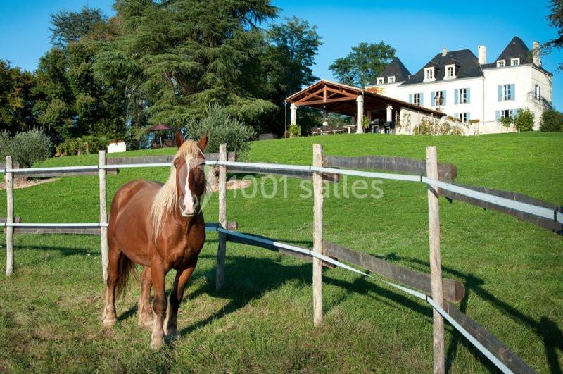 Domaine De La Fauconnie - galerie - photo 14
