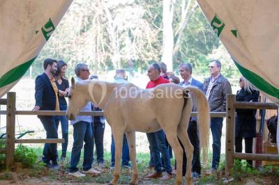 Miniature Location salle Cormeilles-en-Vexin (Val-d'Oise) - Domaine des Cormellas #23 Véhicule tout-terrain rouge stationné sur des marches en pierre devant un bâtiment avec de grandes fenêtres.
