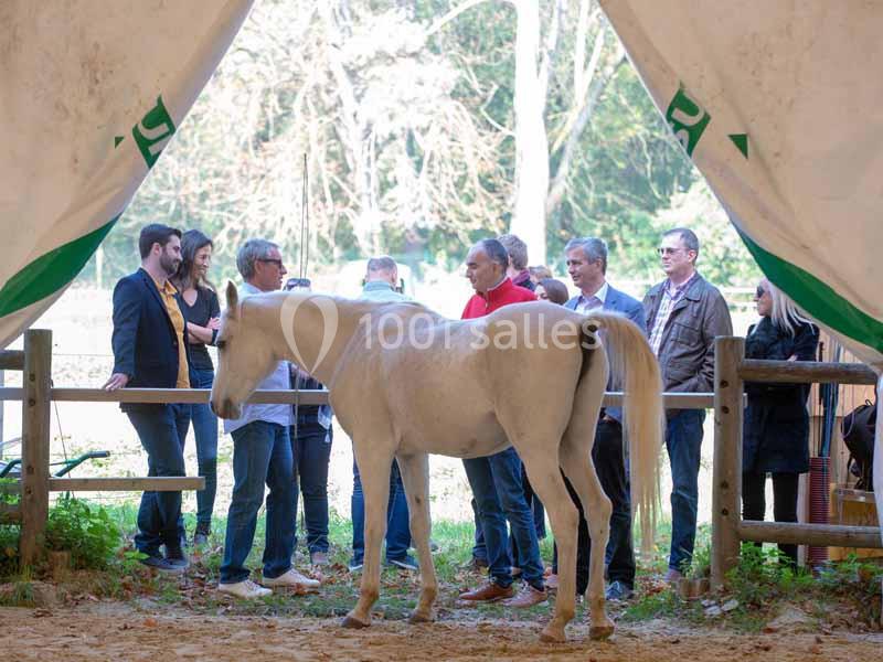 Un cheval blanc dans un enclos, entouré de plusieurs personnes discutant en arrière-plan.