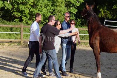 Miniature Location salle Cormeilles-en-Vexin (Val-d'Oise) - Domaine des Cormellas #24 Véhicule tout-terrain rouge stationné sur des marches en pierre devant un bâtiment avec de grandes fenêtres.