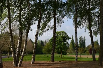 Location salle Romeries (Nord) - Domaine Les Hauts De Vertigneul #5