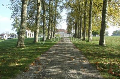 Château De Brangues - photo 3