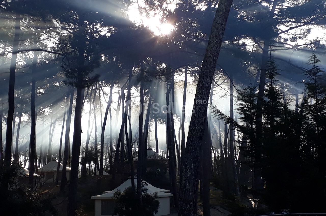 Rayons de soleil traversant une forêt de pins, illuminant des cabanes en contrebas dans une ambiance brumeuse.