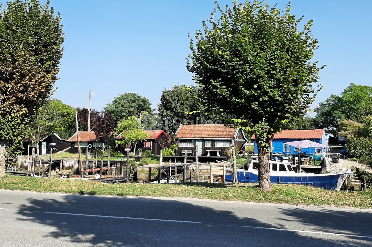 Maisons colorées et bateaux amarrés le long d'un petit port, entourés d'arbres et de verdure sous un ciel bleu.