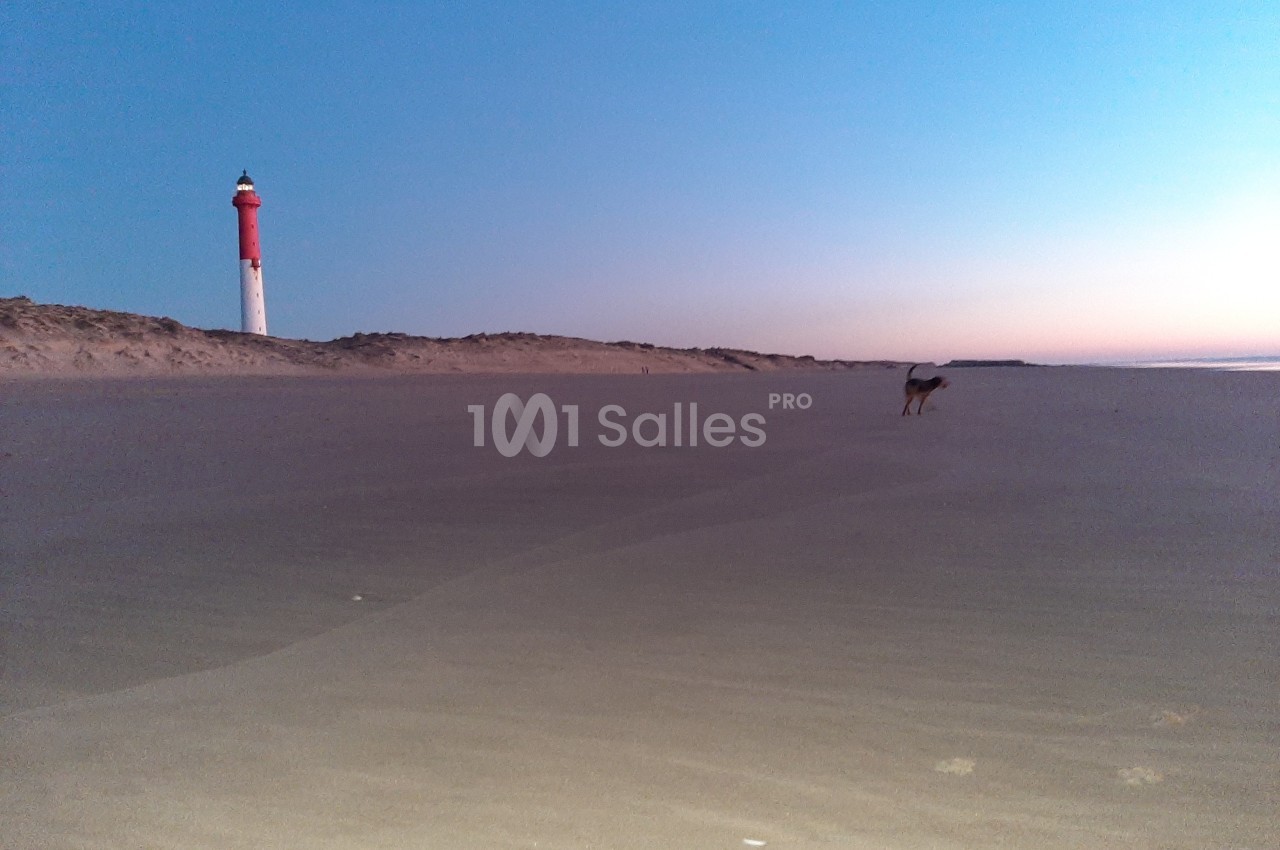 Plage déserte au crépuscule avec un phare rouge et blanc à l'horizon et un chien marchant sur le sable.