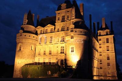 Château De Brissac - photo 1