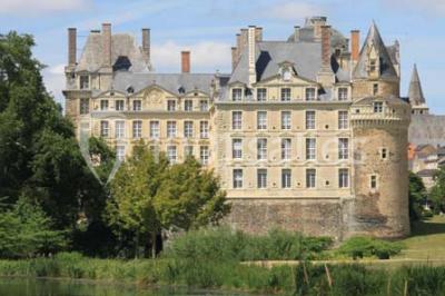 Château De Brissac - photo 4