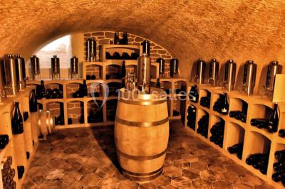 Miniature Location salle Champlat-et-Boujacourt (Marne) - Château Du Domaine Chopin #16 Location salle Champlat-et-Boujacourt (Marne) - Château Du Domaine Chopin #22