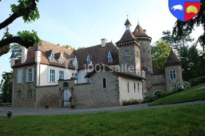 Location salle Saint-Chef (Isère) - Château Teyssier De Savy #20