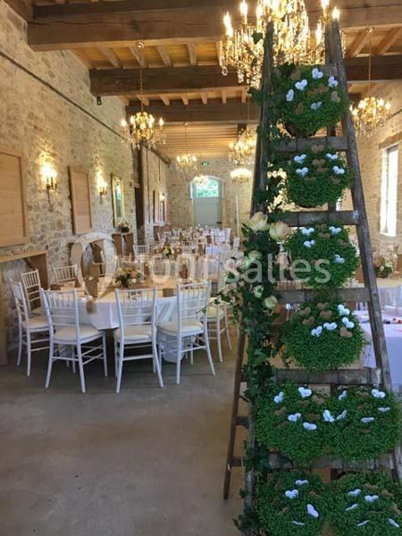 Location salle Saint-Chef (Isère) - Château Teyssier De Savy #9