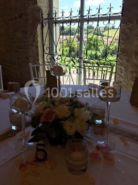 Location salle Saint-Chef (Isère) - Château Teyssier De Savy #10