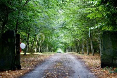 Domaine de Lossulien - photo 5