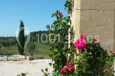 Location salle Saint-Mitre-les-Remparts (Bouches-du-Rhône) - L’espillier #21