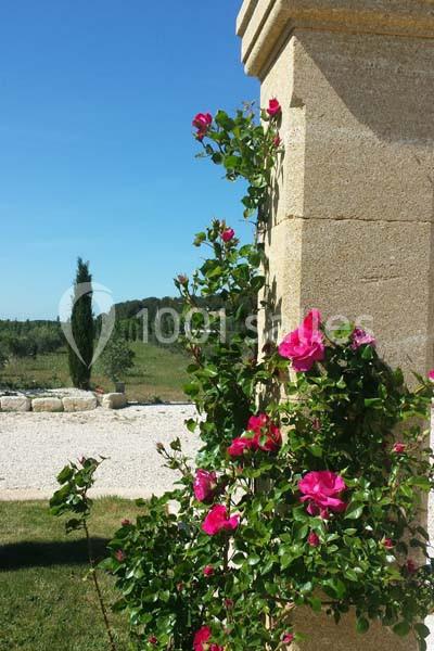 Location salle Saint-Mitre-les-Remparts (Bouches-du-Rhône) - L’espillier #11