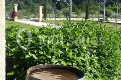 Location salle Saint-Mitre-les-Remparts (Bouches-du-Rhône) - L’espillier #21