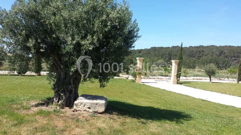 Location salle Saint-Mitre-les-Remparts (Bouches-du-Rhône) - L’espillier #13