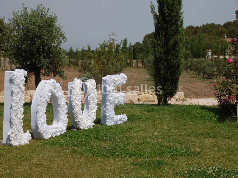 Location salle Saint-Mitre-les-Remparts (Bouches-du-Rhône) - L’espillier #21