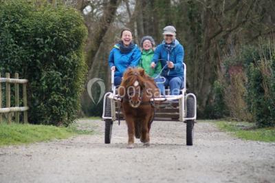 Miniature Location salle Saint-Denis-du-Payré (Vendée) - Domaine De Buchenois #15 Location salle Saint-Denis-du-Payré (Vendée) - Domaine De Buchenois #24