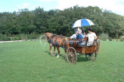 Miniature Location salle Saint-Denis-du-Payré (Vendée) - Domaine De Buchenois #16 Location salle Saint-Denis-du-Payré (Vendée) - Domaine De Buchenois #24
