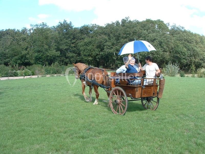 Location salle Saint-Denis-du-Payré (Vendée) - Domaine De Buchenois #16