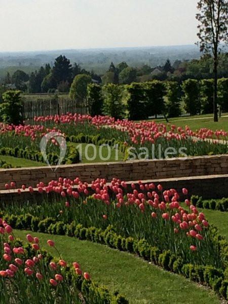 Location salle Rochefort-sur-Loire (Maine-et-Loire) - Domaine Fl #4