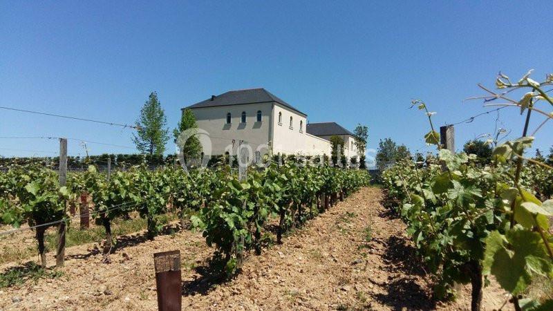 Location salle Rochefort-sur-Loire (Maine-et-Loire) - Domaine Fl #5