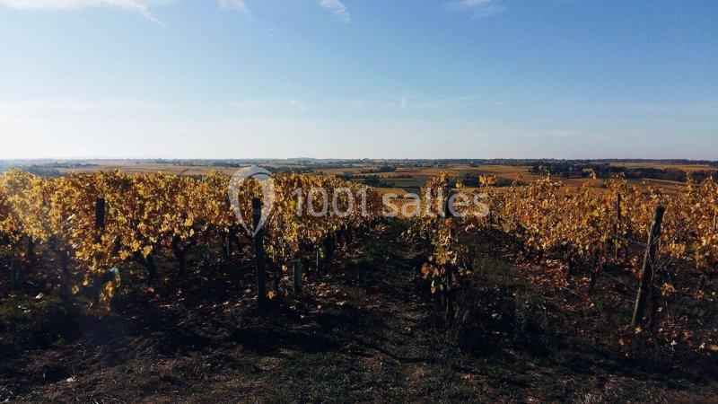 Location salle Rochefort-sur-Loire (Maine-et-Loire) - Domaine Fl #7