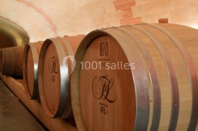 Location salle Rochefort-sur-Loire (Maine-et-Loire) - Domaine Fl #10