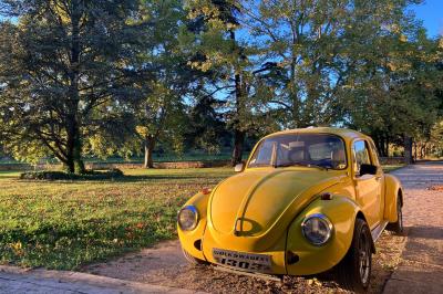 Location salle La Tour-d'Aigues (Vaucluse) - Domaine La Castelette #58