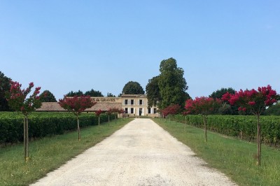 Maison des Vins de Graves - photo 2