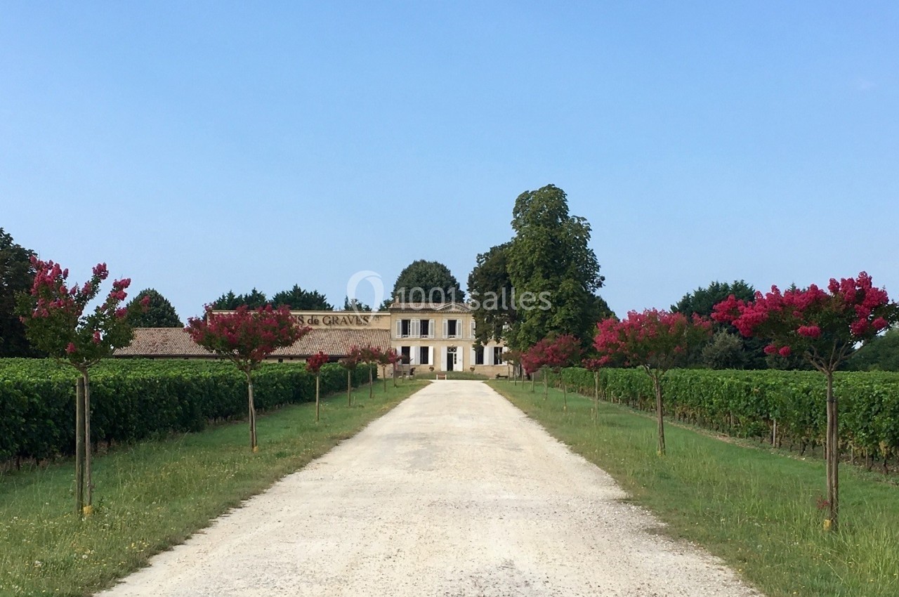 Allée bordée de vignes et de petits arbres fleuris menant à une maison en pierre sous un ciel dégagé.
