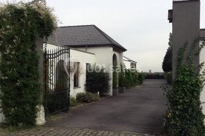 Miniature Location salle Tournai (Hainaut) - Domaine du Blanc Maisnil #8 Plateau de bouchées apéritives variées avec macarons salés, canapés garnis et fleurs comestibles sur ardoise noire.