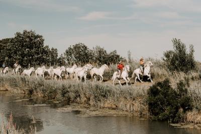 Miniature Location salle Saintes-Maries-de-la-Mer (Bouches-du-Rhône) - Le Sauvage, Domaine En Camargue #29 Location salle Saintes-Maries-de-la-Mer (Bouches-du-Rhône) - Le Sauvage, Domaine En Camargue #39