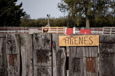 Miniature Location salle Saintes-Maries-de-la-Mer (Bouches-du-Rhône) - Le Sauvage, Domaine En Camargue #26 Location salle Saintes-Maries-de-la-Mer (Bouches-du-Rhône) - Le Sauvage, Domaine En Camargue #39