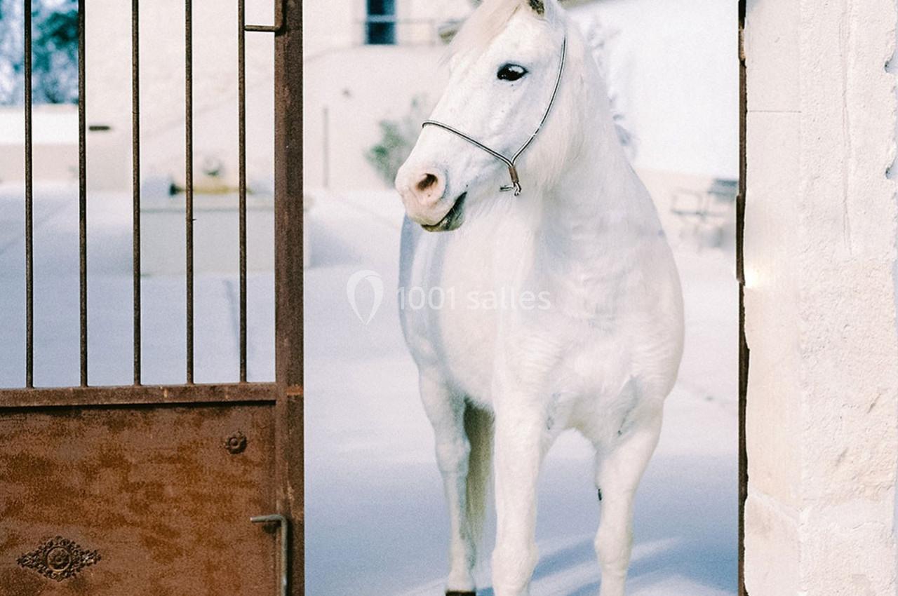 Location salle Saintes-Maries-de-la-Mer (Bouches-du-Rhône) - Le Sauvage, Domaine En Camargue #4 Location salle Saintes-Maries-de-la-Mer (Bouches-du-Rhône) - Le Sauvage, Domaine En Camargue #4