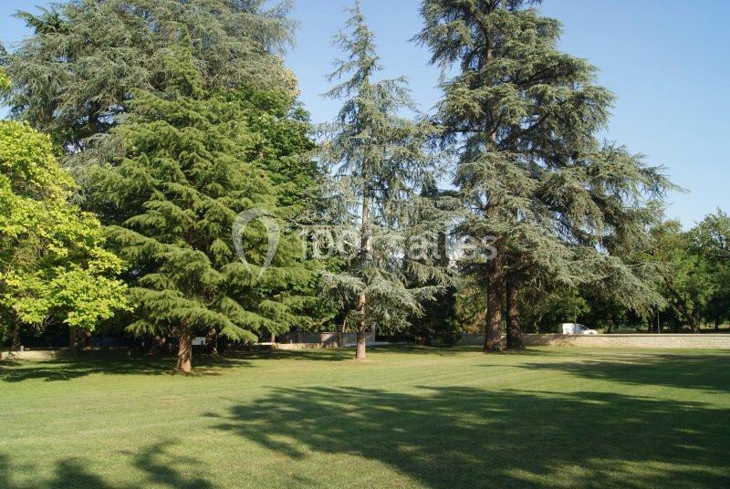 Pelouse verdoyante entourée de grands arbres sous un ciel dégagé.
