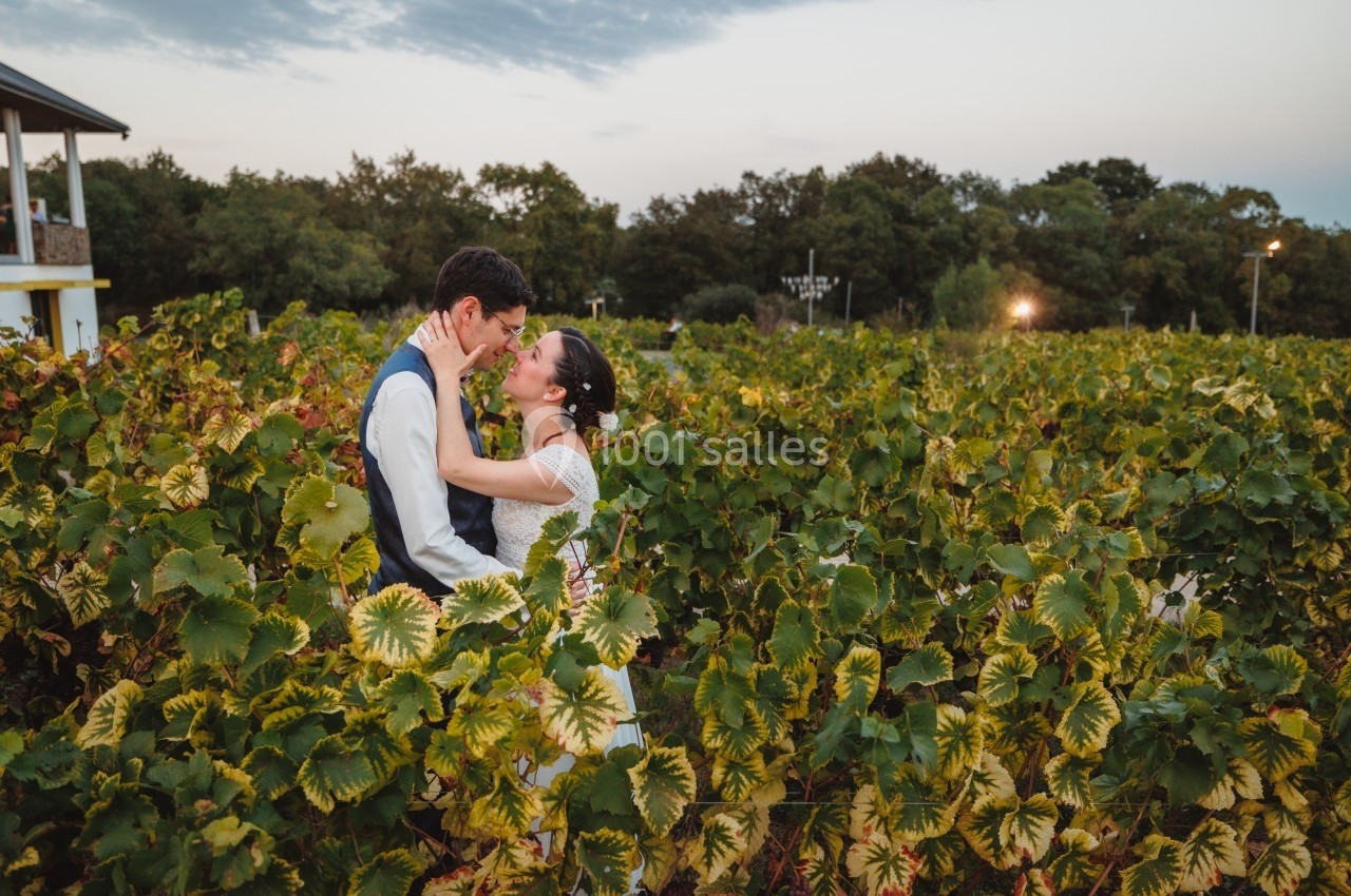 Location salle Thouaré-sur-Loire (Loire-Atlantique) - Réception Vignoble Marchais #2