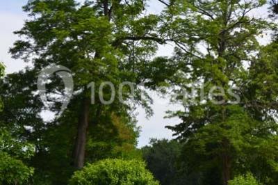 Miniature Location salle Saint-Aubin-de-Médoc (Gironde) - Le Caillavet #21 Location salle Saint-Aubin-de-Médoc (Gironde) - Le Caillavet #24