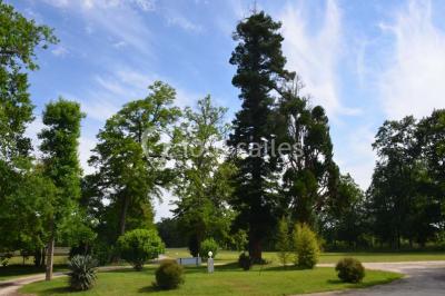 Miniature Location salle Saint-Aubin-de-Médoc (Gironde) - Le Caillavet #14 Location salle Saint-Aubin-de-Médoc (Gironde) - Le Caillavet #24