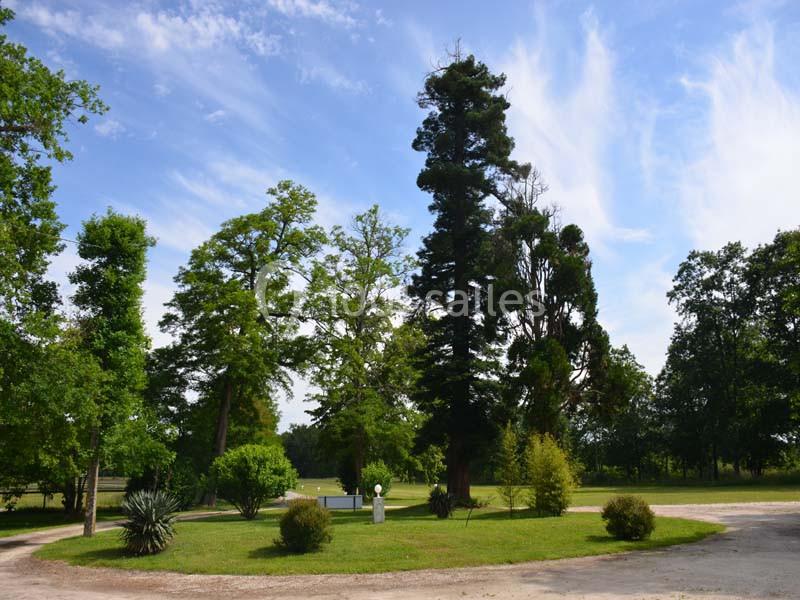 Location salle Saint-Aubin-de-Médoc (Gironde) - Le Caillavet #14