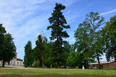 Miniature Location salle Saint-Aubin-de-Médoc (Gironde) - Le Caillavet #11 Location salle Saint-Aubin-de-Médoc (Gironde) - Le Caillavet #24