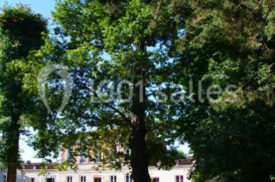 Miniature Location salle Saint-Aubin-de-Médoc (Gironde) - Le Caillavet #16 Location salle Saint-Aubin-de-Médoc (Gironde) - Le Caillavet #24