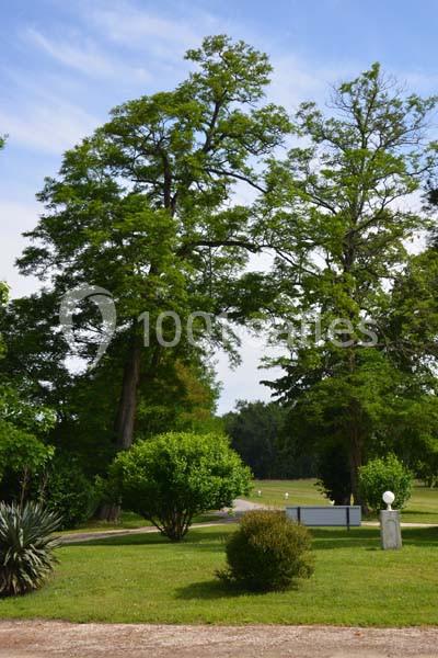 Le Caillavet - galerie - photo 22