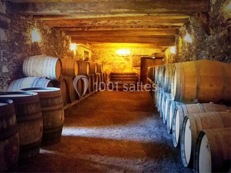 Location salle Saint-Fiacre-sur-Maine (Loire-Atlantique) - Château du Coing #8