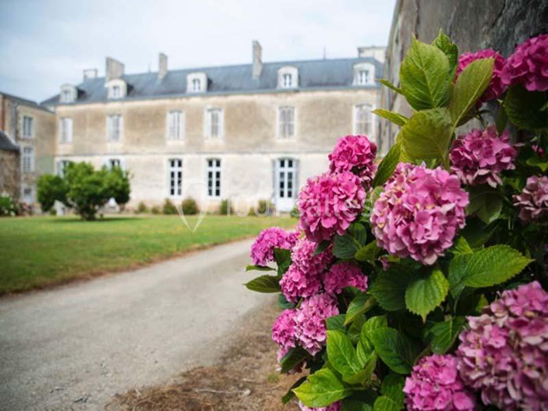 Location salle Saint-Fiacre-sur-Maine (Loire-Atlantique) - Château du Coing #3